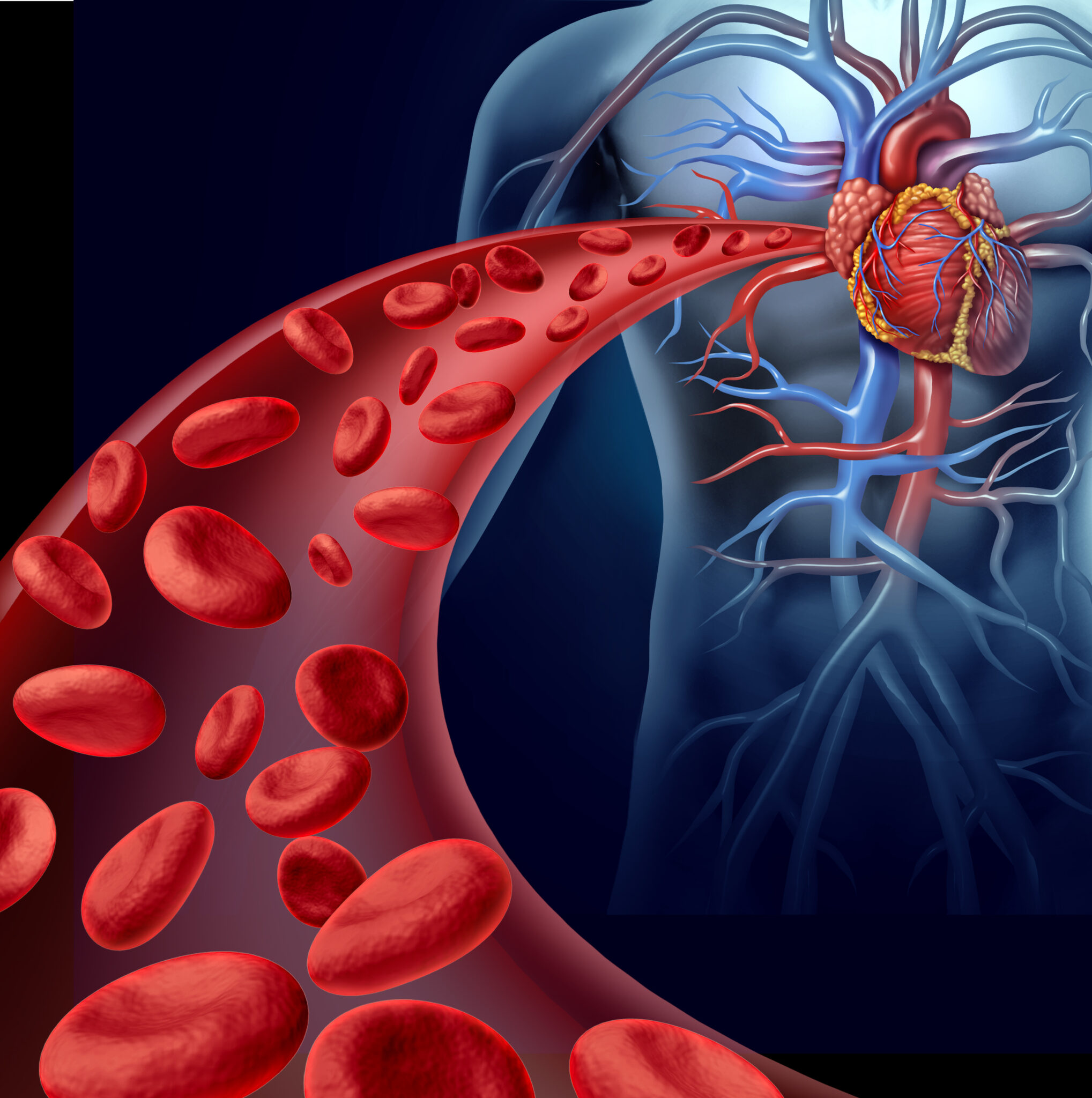 viscosity of blood